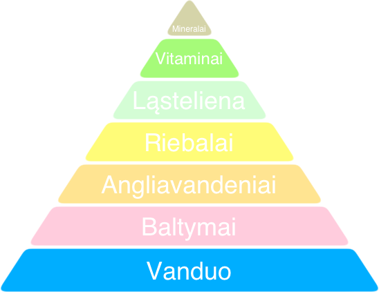 sunio maisto elementu piramide2